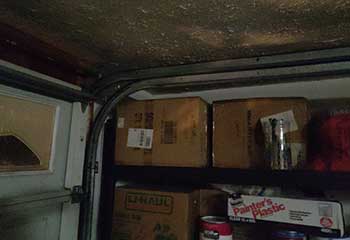 Garage Door Roller Replacement | Rosemont